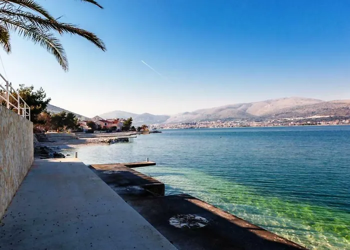 Barba * 特罗吉尔