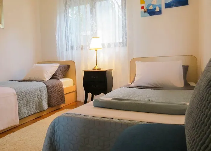 Barba * 特罗吉尔